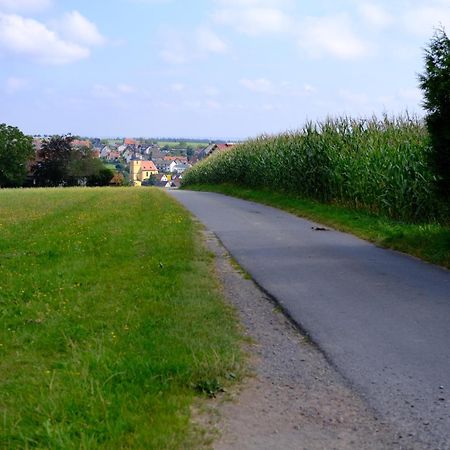Ferienwohnung Friedrich Michelstadt Zewnętrze zdjęcie