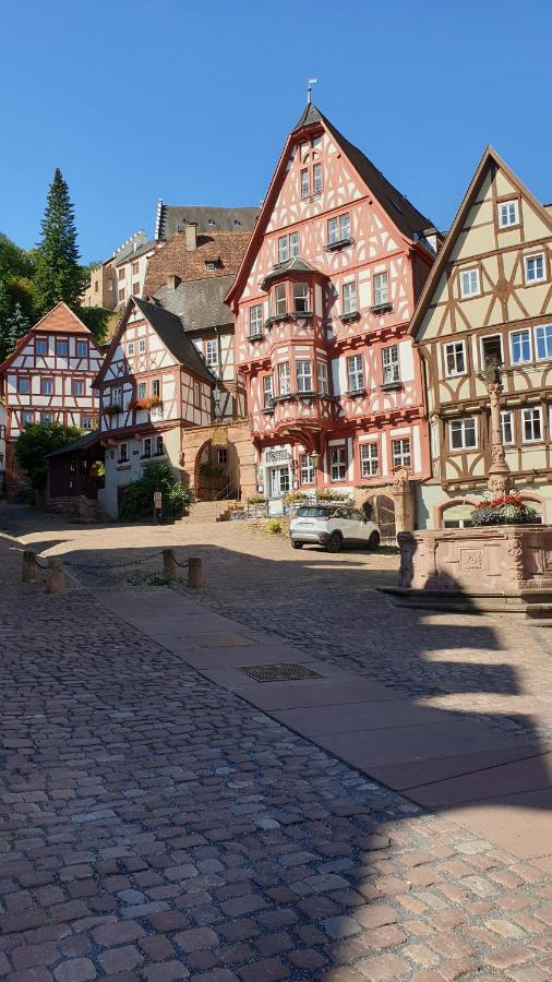 Ferienwohnung Friedrich Michelstadt Zewnętrze zdjęcie