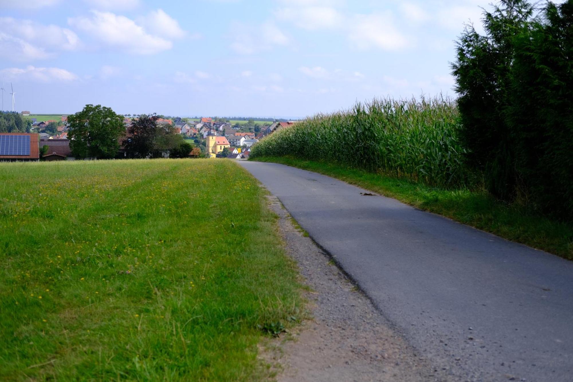 Ferienwohnung Friedrich Michelstadt Zewnętrze zdjęcie